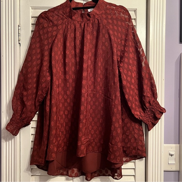 DR2 High Low Top - Picture 5 of 8